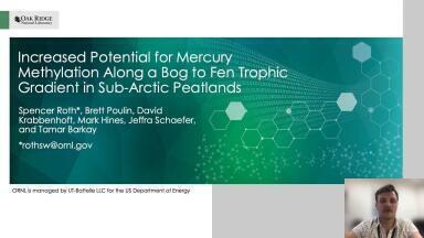 Increased Potential for Mercury Methylation Along a Bog to Fen Trophic Gradient in Sub-Arctic Peatlands